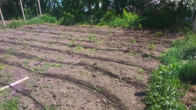 Прикрепленное изображение: DSC_0061.JPG